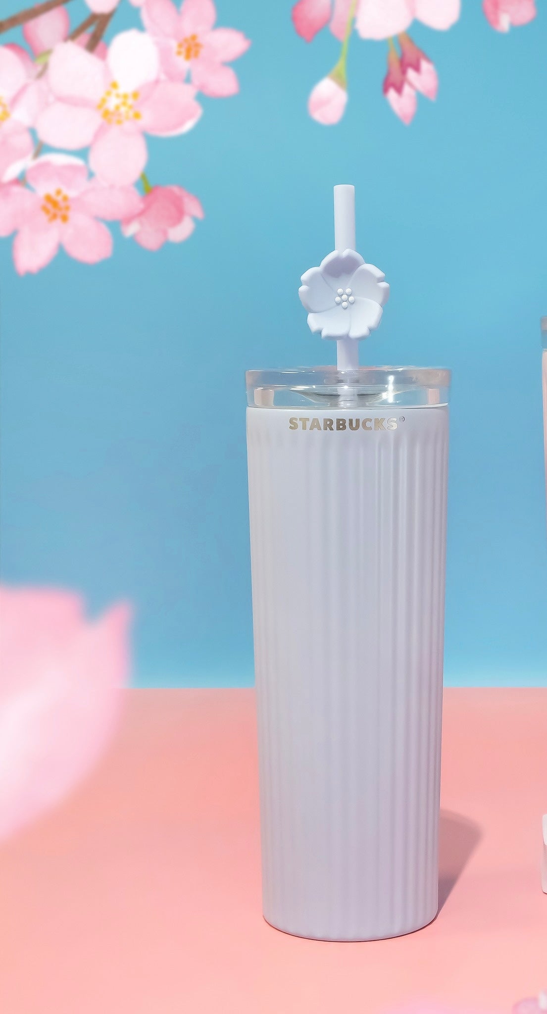 2024 Starbucks Vietnam SS  Stripe  16oz