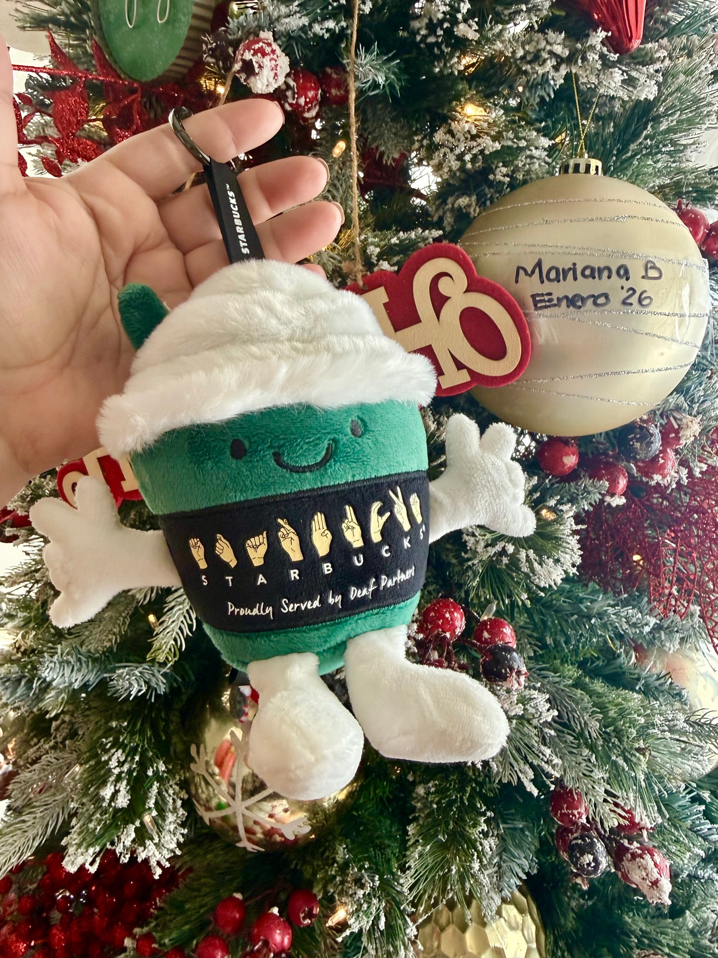 2025 STARBUCKS MALASIA MYSTERY FRAPPUCCINO SIPLING